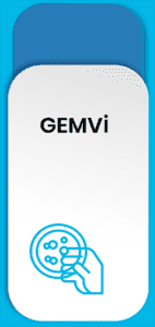 Gemvi subsite