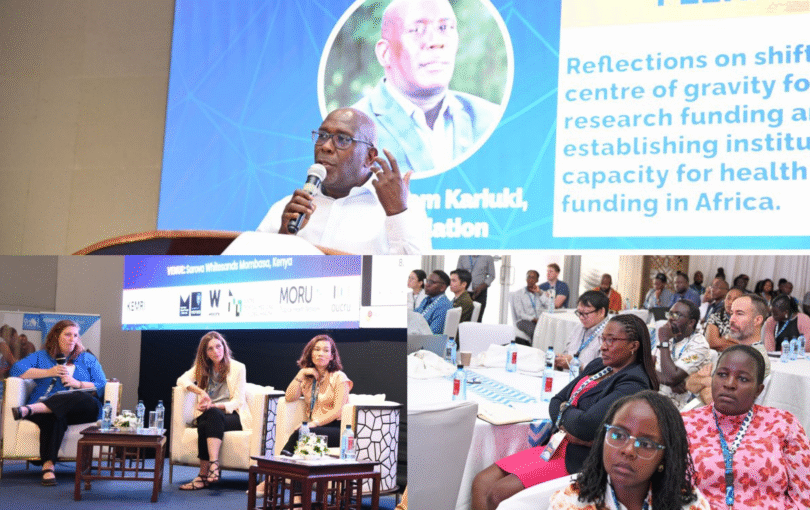 Beautiful Sunset Simple Photo Collage Landscape